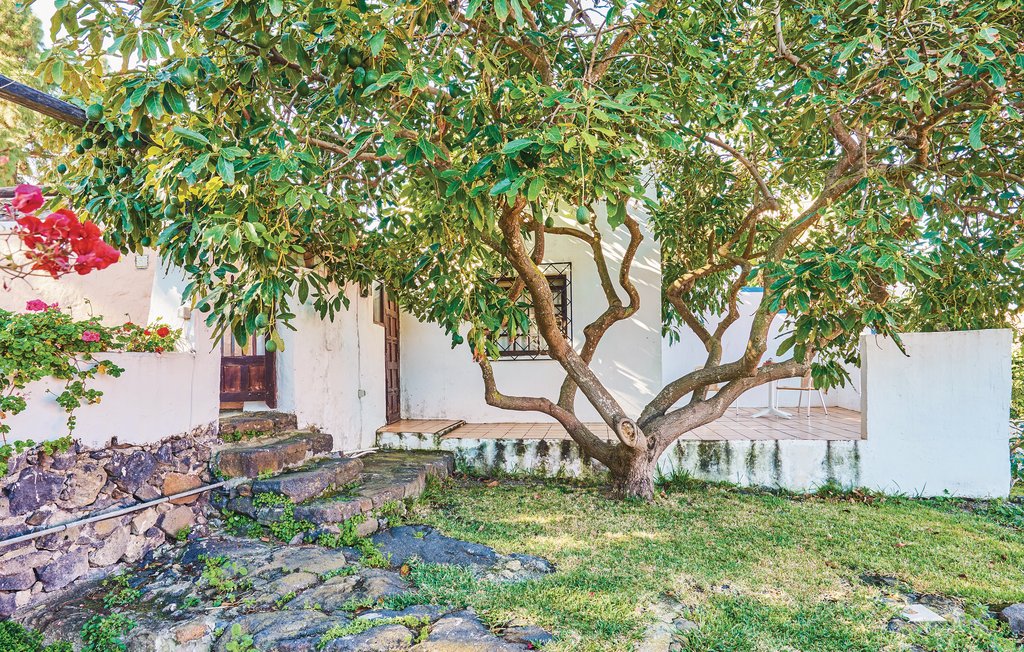 Feriehus - Icod de los Vinos-Tenerife , Spania - ETE426 10