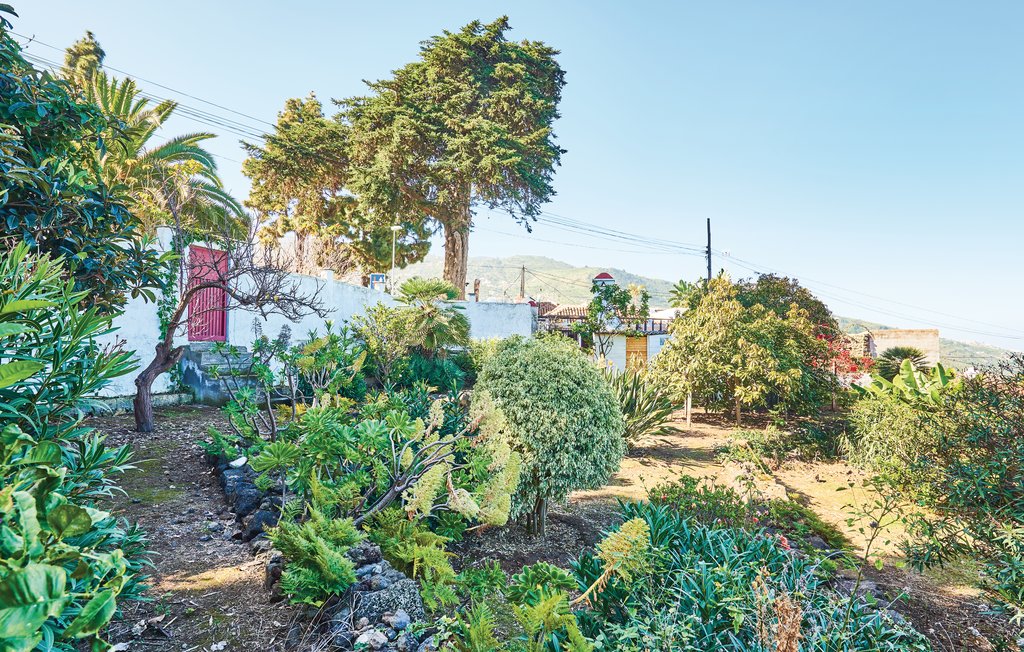 Feriehus - Icod de los Vinos-Tenerife , Spania - ETE426 13