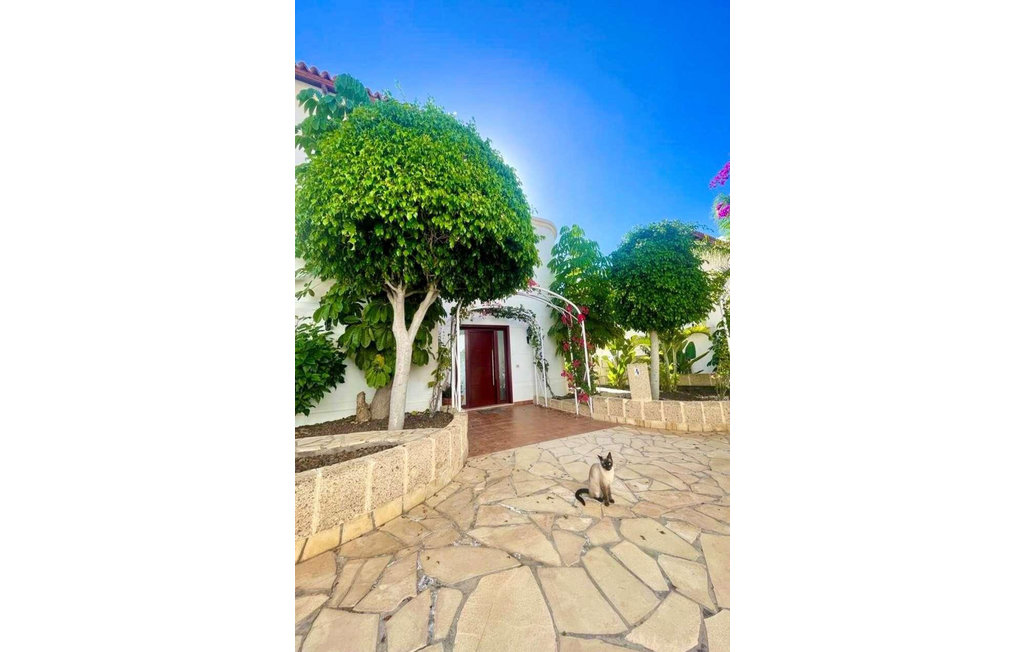 Feriehuse - Chayofa , Spanien - ETE044 15