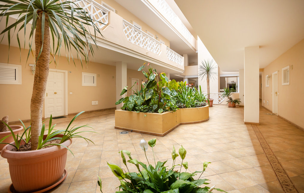 Ferienwohnung - Puerto de la Cruz , Spanien - ETE474 11