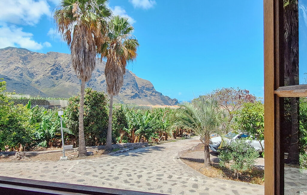 Ferieleilighet - Buenavista-Tenerife , Spania - ETE118 4