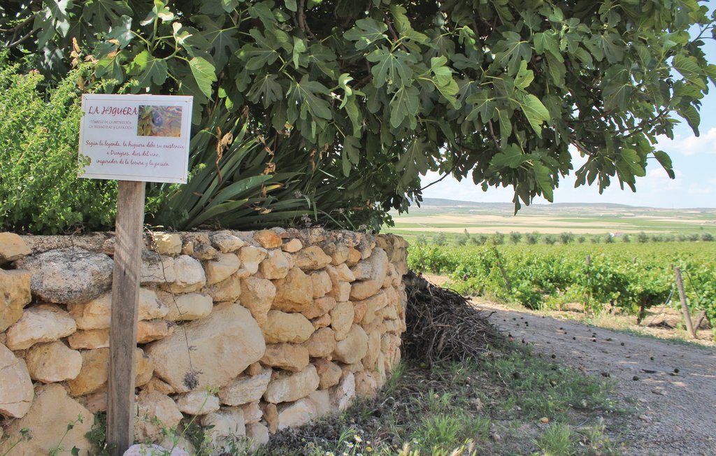 Feriehuse - Fuente-Álamo , Spanien - EXA001 14