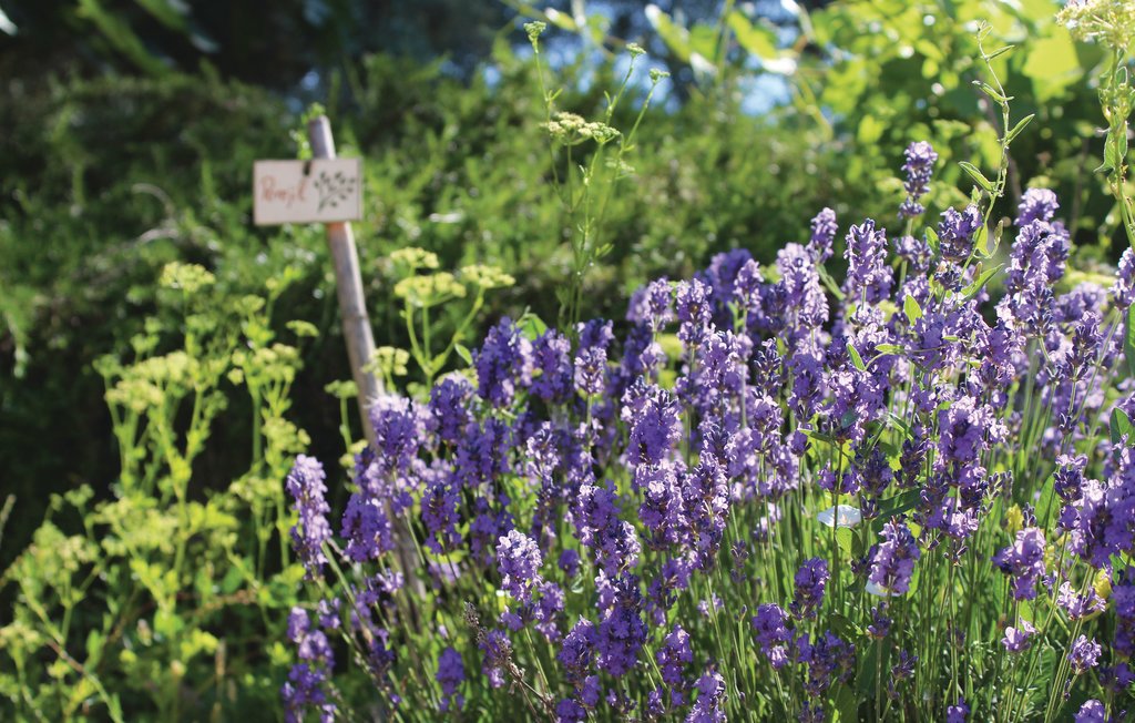 Feriehuse - Fuente-Álamo , Spanien - EXA001 7