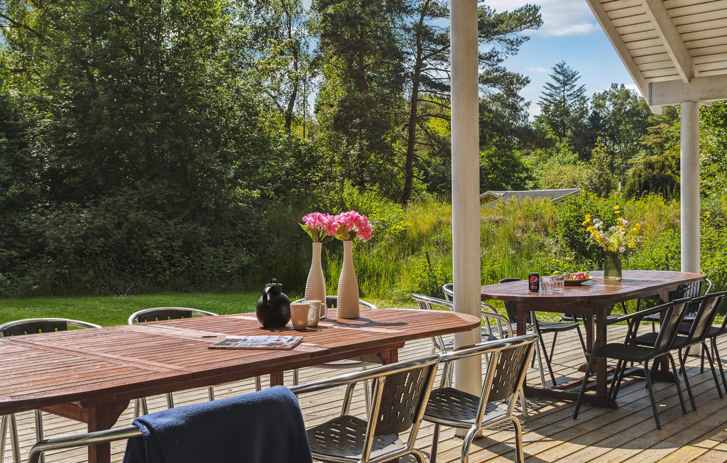 Feriehuse - Hummingen Strand , Danmark - F0200 14