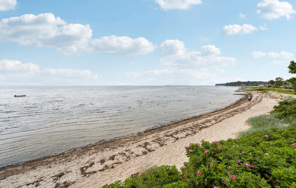 Feriehuse - Grønninghoved , Danmark - F02143 21