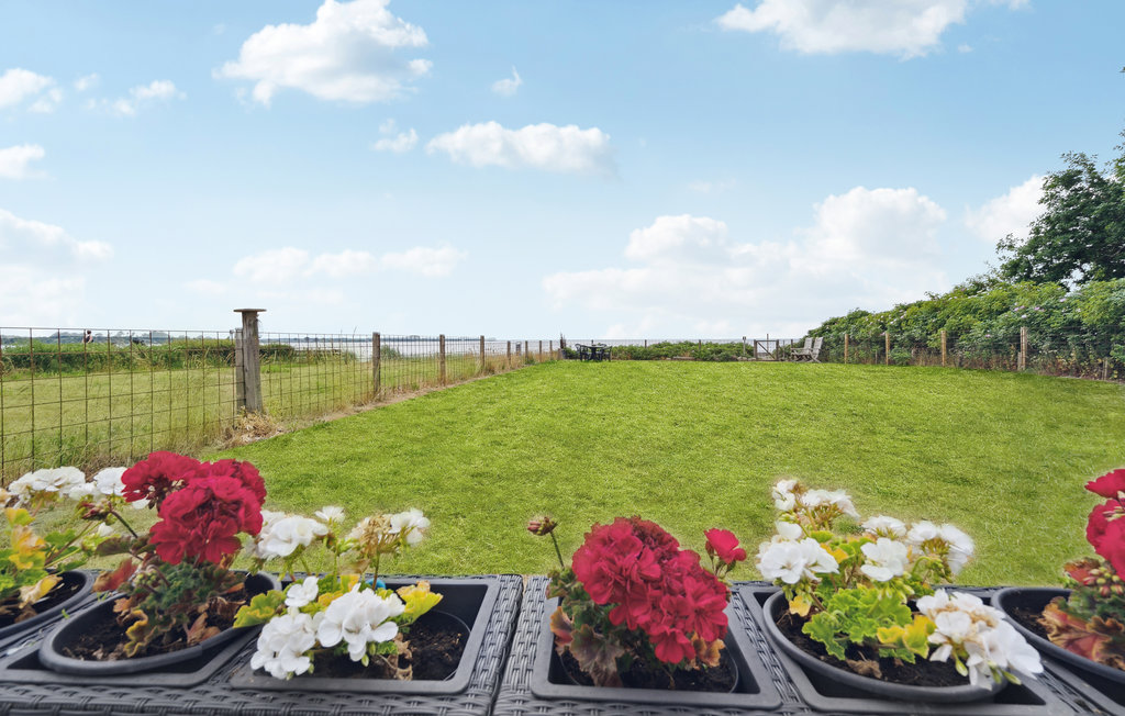 Feriehuse - Grønninghoved , Danmark - F02143 12