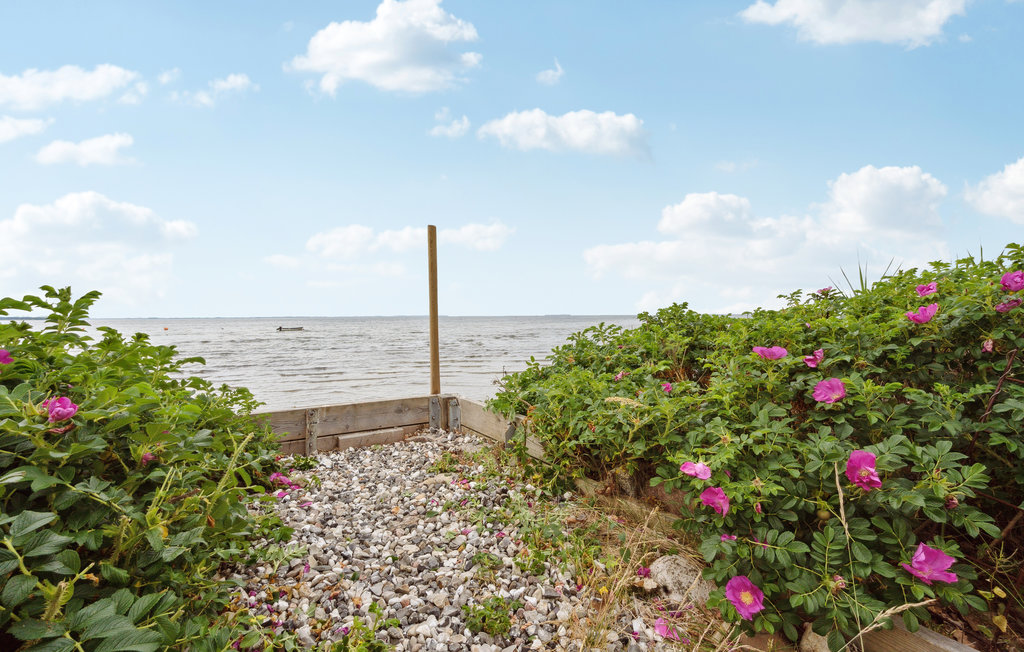 Feriehuse - Grønninghoved , Danmark - F02143 15