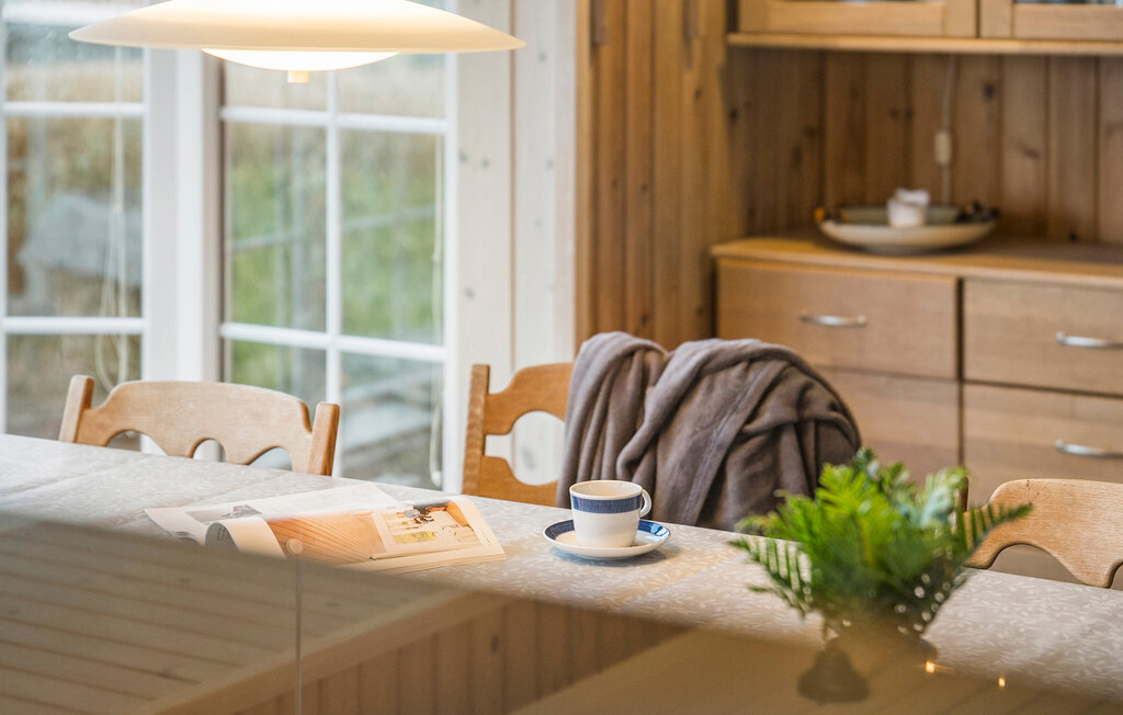 Ferienhaus - Binderup Strand , Dänemark - F02192 19