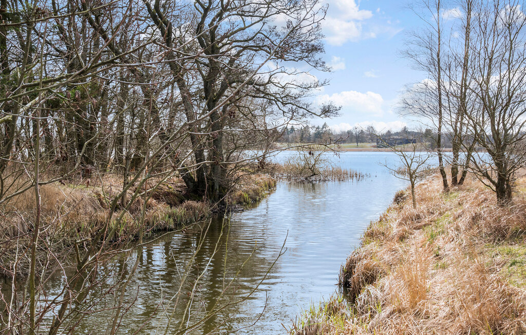 Semesterhus - Almind , Danmark - F02175 9