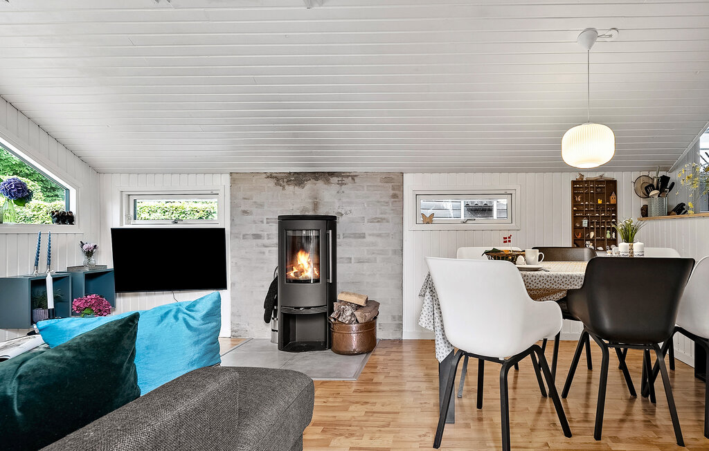 Feriehuse - Binderup Strand , Danmark - F02038 9