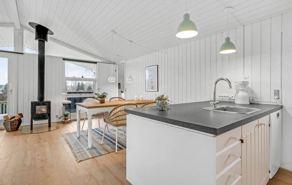 Ferienhaus - Hejlsminde strand , Dänemark - F04158 8
