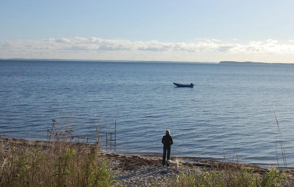 Feriehuse - Hejlsminde , Danmark - F04062 14