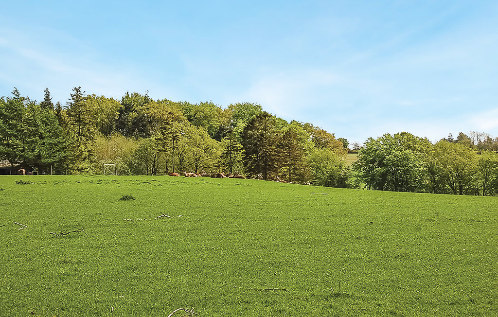 Semesterhus - Sandersvig , Danmark - F04396 20