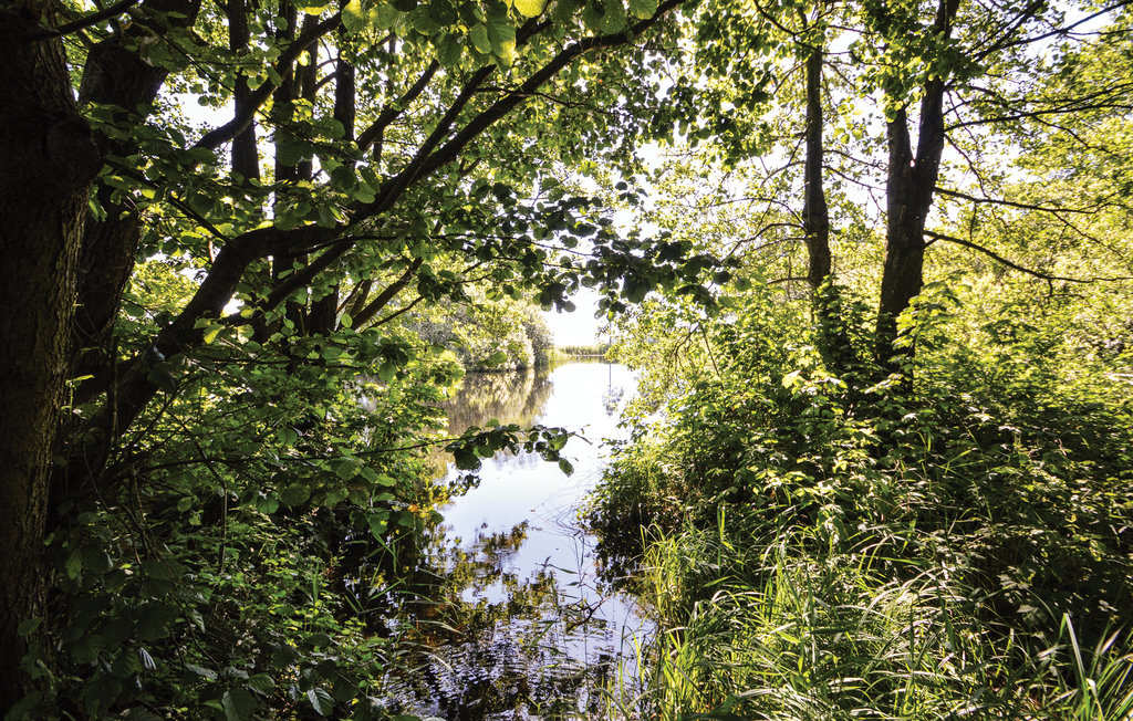 Feriehuse - Løjt Strand , Danmark - F06995 23