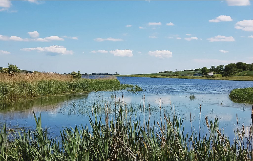 Semesterhus - Diernæs Strand , Danmark - F07603 19