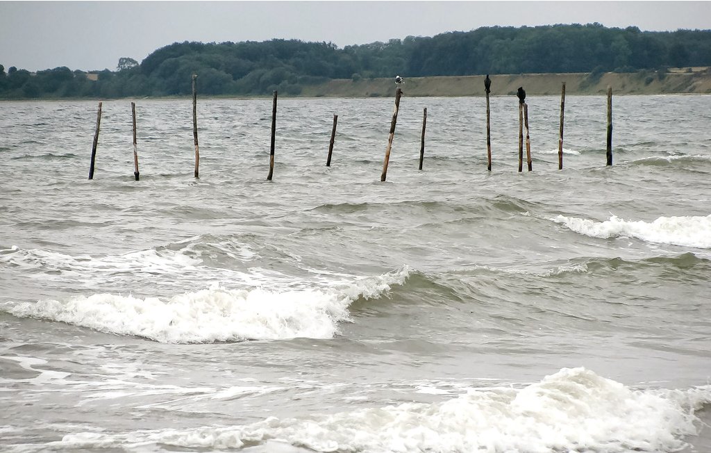 Ferienhaus - Flovt Strand , Dänemark - F07626 29