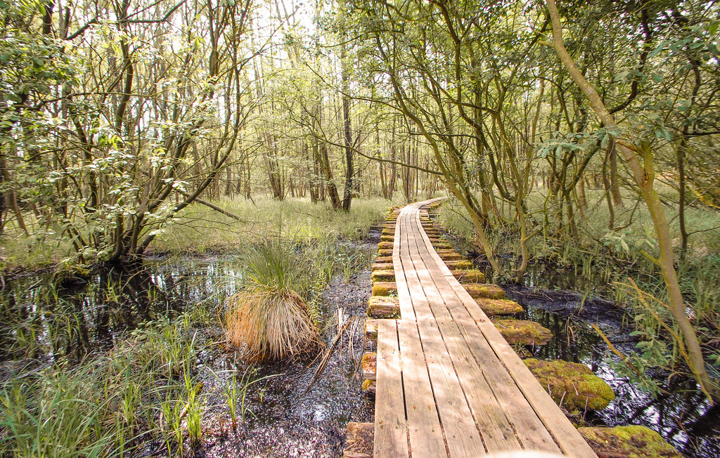 Feriehuse - Løjt Strand , Danmark - F07056 20