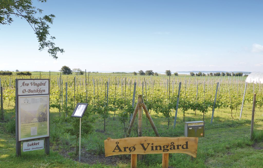 Feriehuse - Årø , Danmark - F07214 27