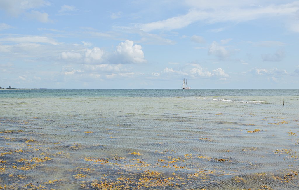 Feriehuse - Årøsund , Danmark - F07234 28