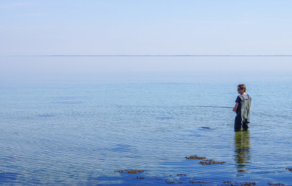 Ferienhaus - Kelstrup Strand , Dänemark - F07086 23