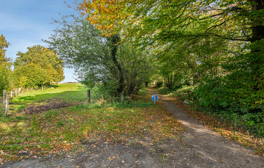 Ferienwohnung - Løjt Strand , Dänemark - F07327 17