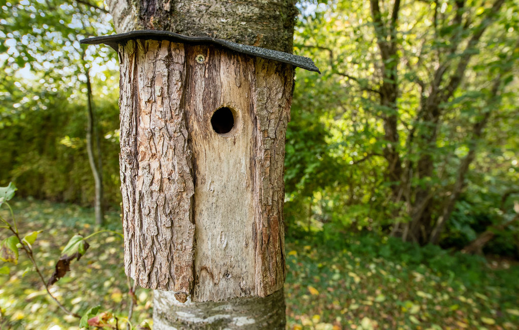 Ferienwohnung - Løjt Strand , Dänemark - F07327 18