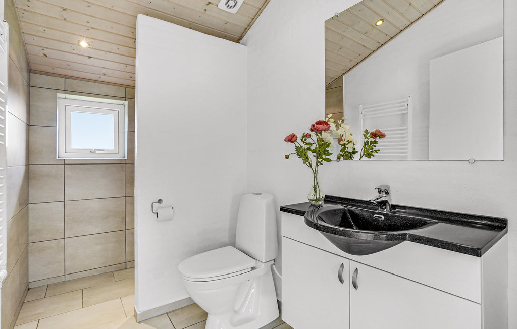 Ferienhaus - Flovt Strand , Dänemark - F07622 23
