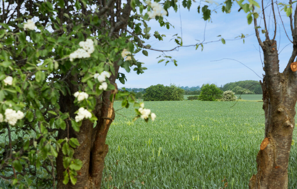 Ferienhaus - Flovt Strand , Dänemark - F07345 30