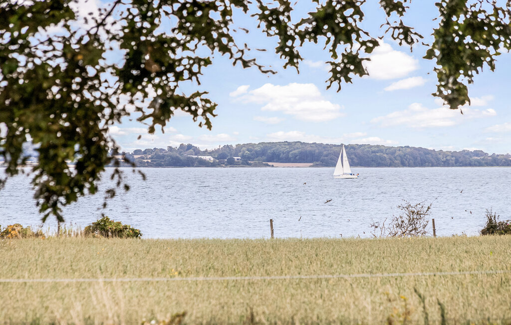 Feriehuse - Aarø , Danmark - F07385 16