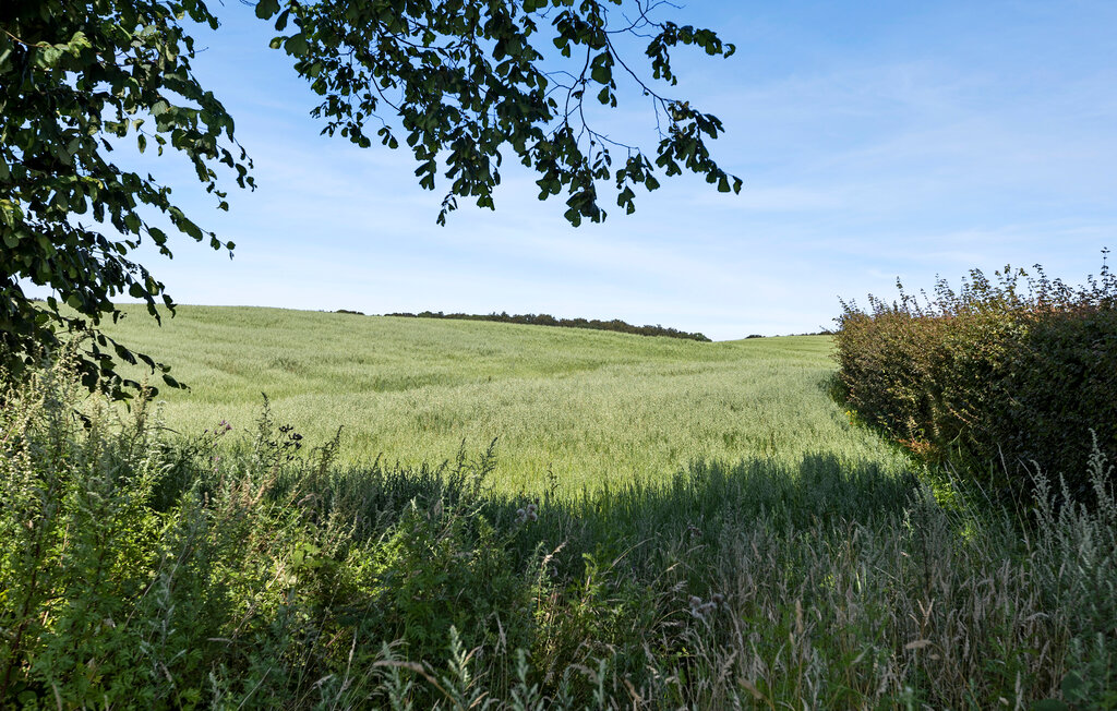 Location de vacances - Skarrev Strand , Danemark - F07391 25