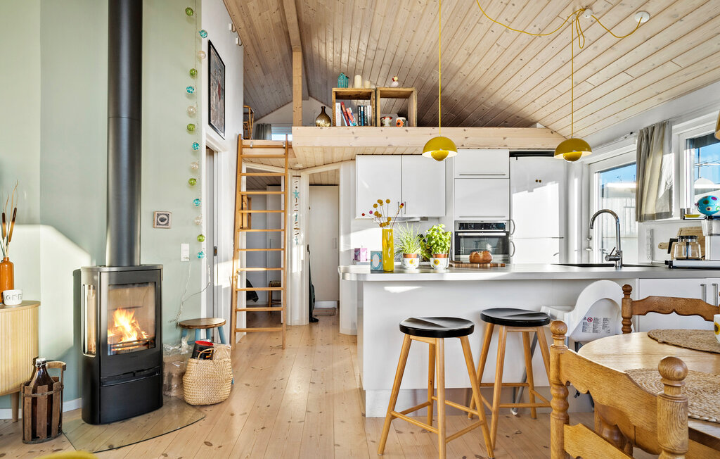 Ferienhaeuser - Hejsager Strand , Dänemark - F07395 5