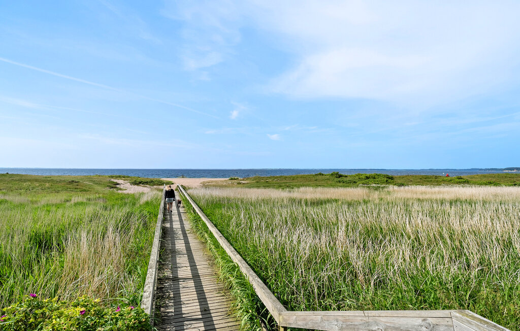 Feriehuse - Hejsager Strand , Danmark - F07002 24