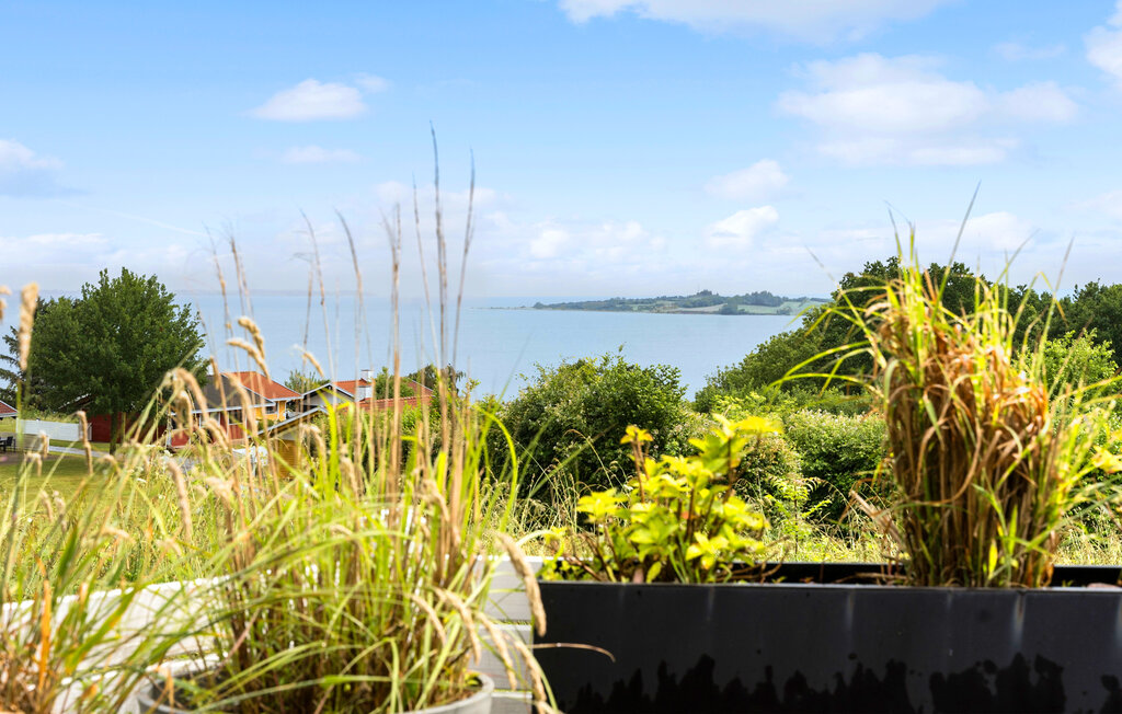 Ferienhaeuser - Løjt Strand , Dänemark - F07419 2