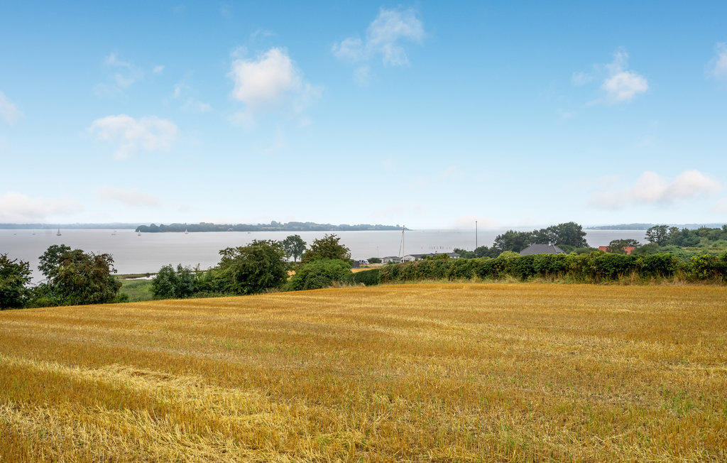 Feriehuse - Rendbjerg Strand , Danmark - F08126 15
