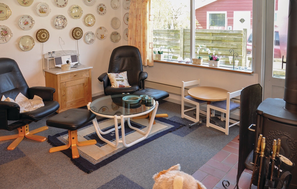 Feriehuse - Brunsnæs , Danmark - F08036 6