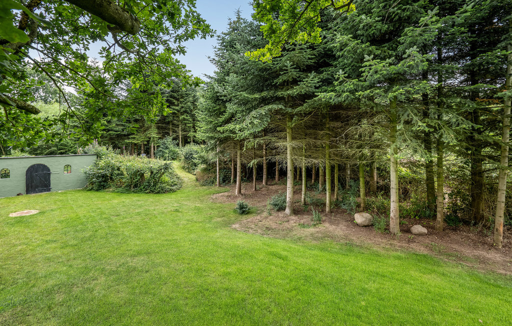 Feriehuse - Blåkrog Strand , Danmark - F08131 18