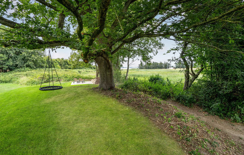 Feriehuse - Blåkrog Strand , Danmark - F08131 19
