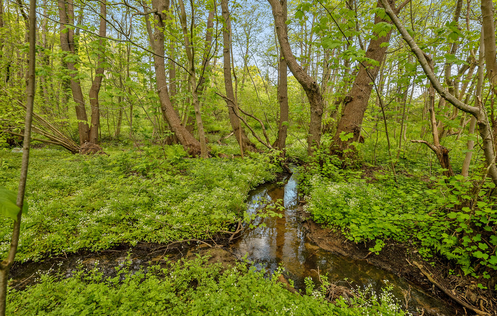 Feriehuse - Sønderhav , Danmark - F08073 21