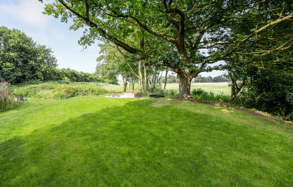 Feriehuse - Blåkrog Strand , Danmark - F08131 20