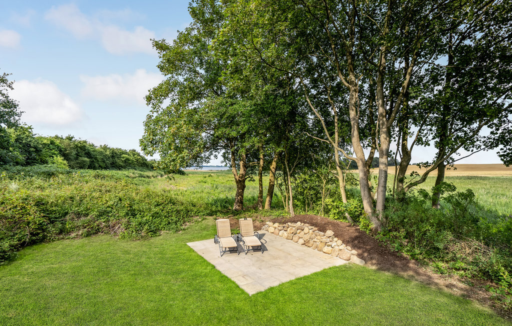 Feriehuse - Blåkrog Strand , Danmark - F08131 17