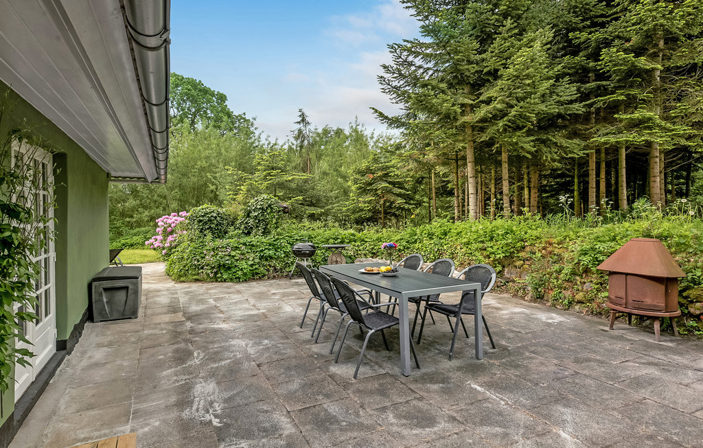 Feriehuse - Blåkrog Strand , Danmark - F08131 12