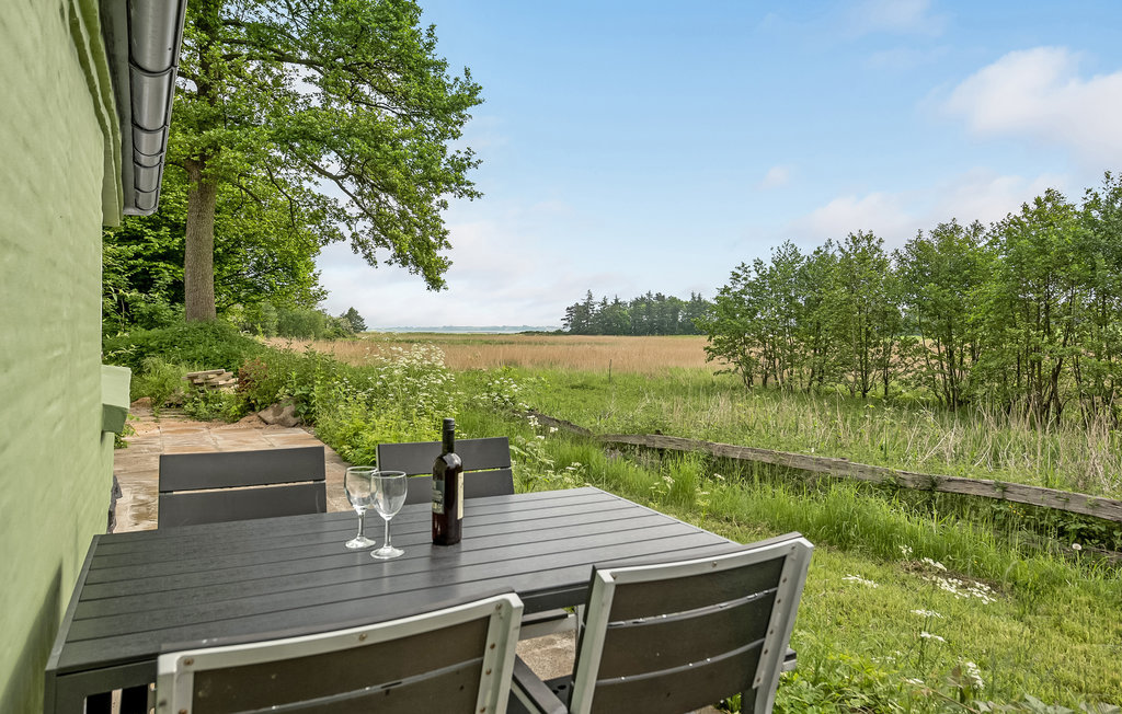 Feriehuse - Blåkrog Strand , Danmark - F08131 15