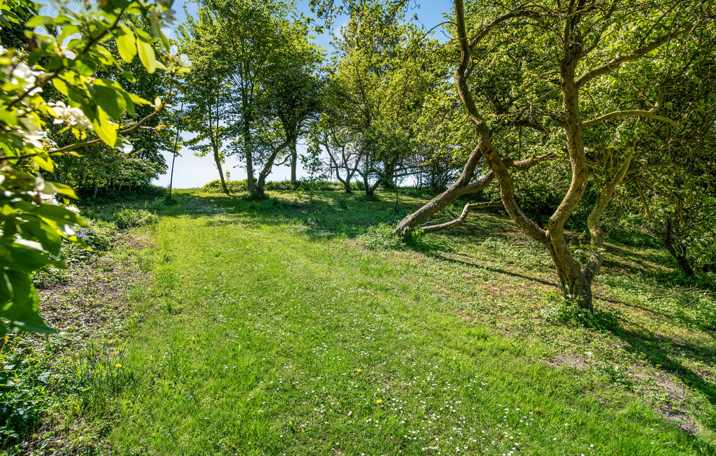 Ferienhaus - Varnæs Strand , Dänemark - F08557 16
