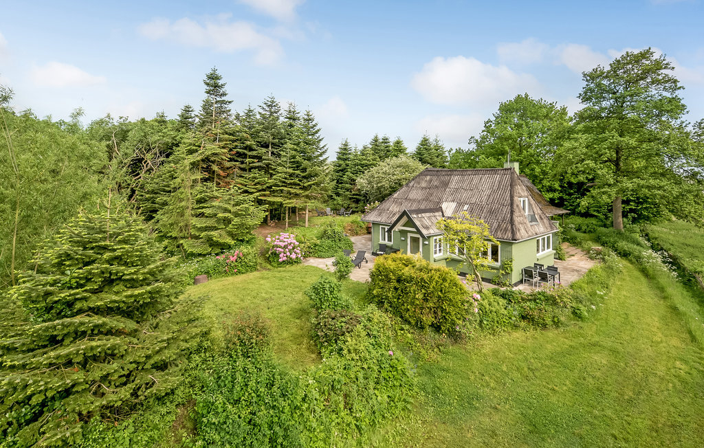 Feriehuse - Blåkrog Strand , Danmark - F08131 1