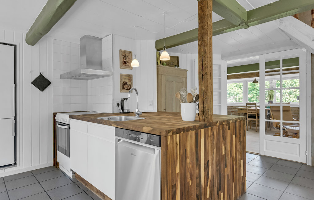 Feriehuse - Blåkrog Strand , Danmark - F08131 8