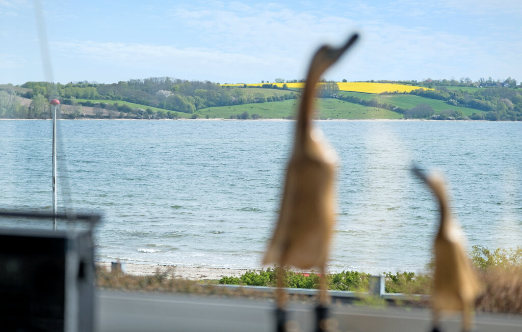 Ferienhaus - Vemmingbund Strand , Dänemark - F08099 4