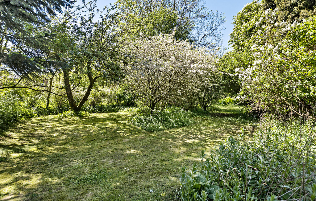 Feriehuse - Vemmingbund Strand , Danmark - F08089 13