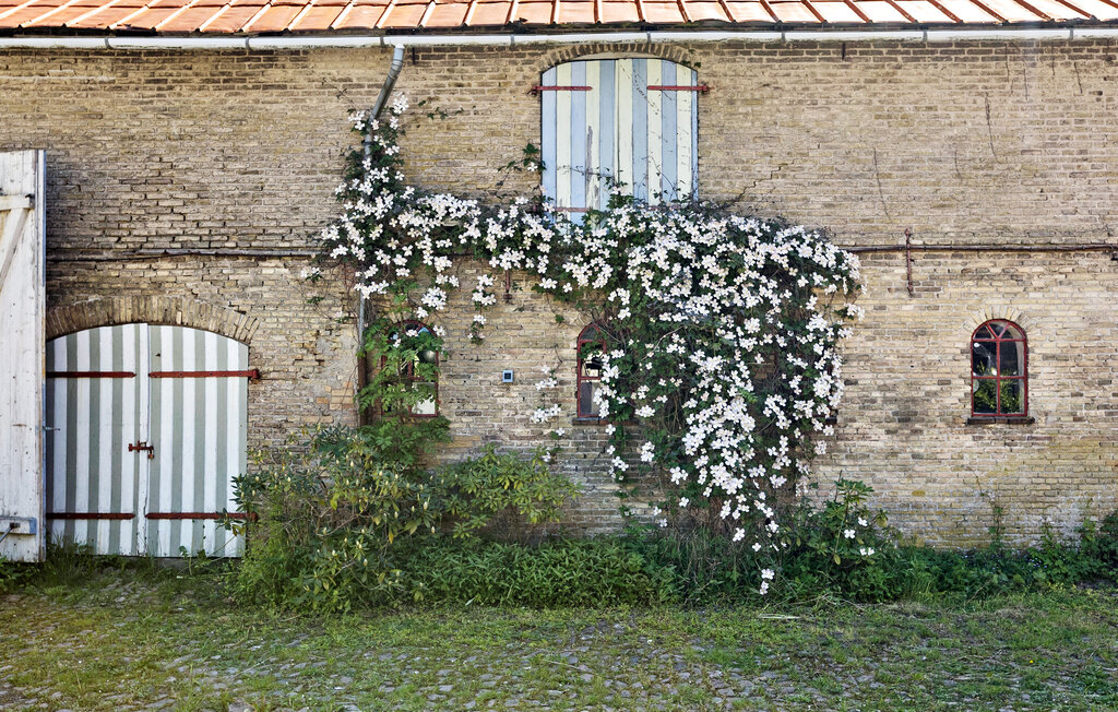 Feriehuse - Vemmingbund Strand , Danmark - F08089 16