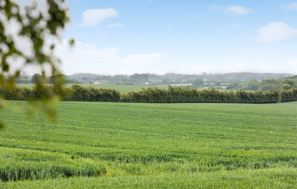 Feriehuse - Sottrupskov Strand , Danmark - F08125 14