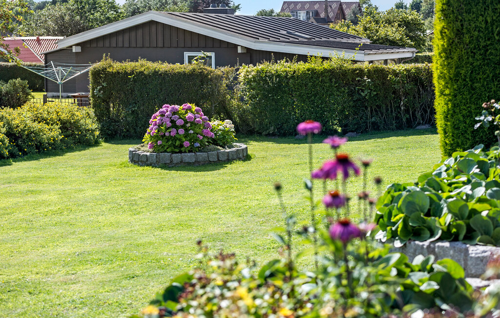 Feriehuse - Rendbjerg , Danmark - F08160 9